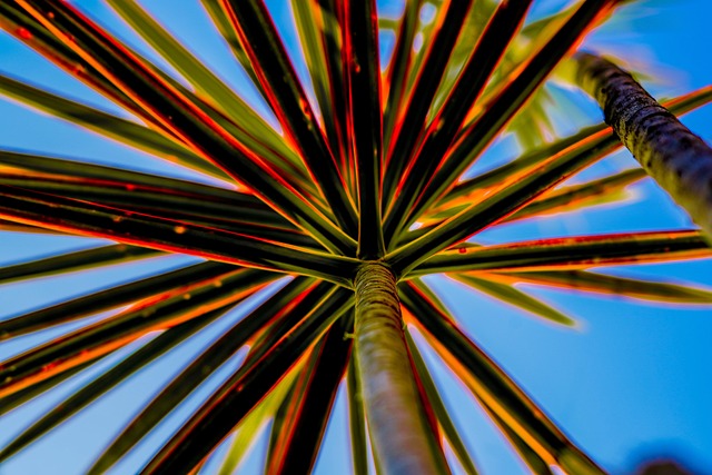 Miljøvenlige løsninger til algerens i haven